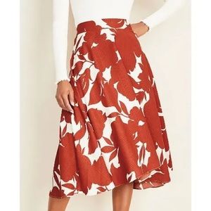 COPY - Ann Taylor floral midi skirt (petite, but I usually wear regular)